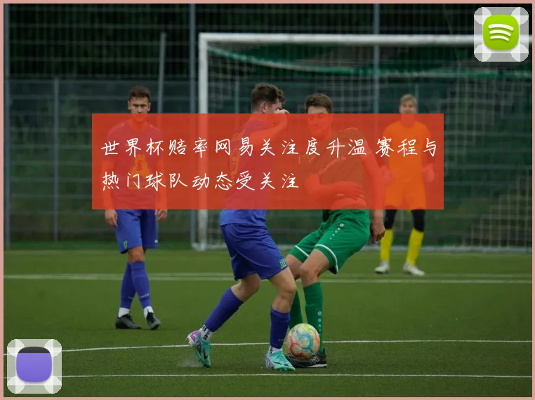 世界杯赔率网易关注度升温 赛程与热门球队动态受关注