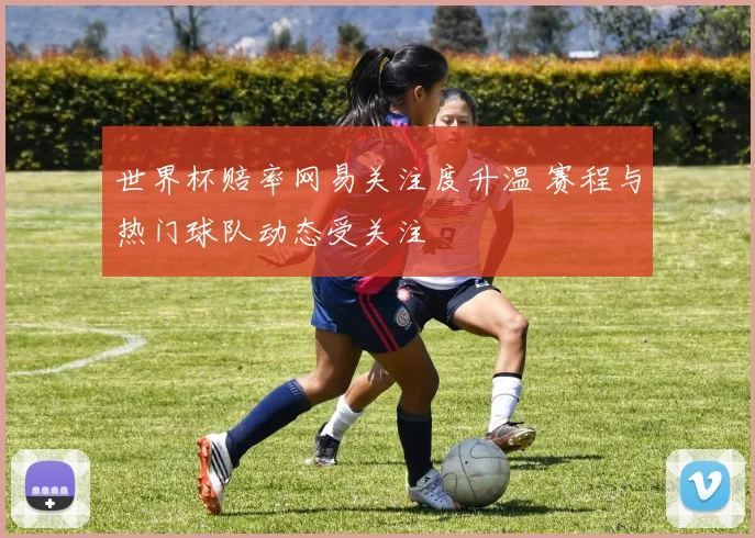 世界杯赔率网易关注度升温 赛程与热门球队动态受关注