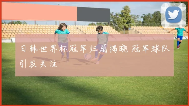日韩世界杯冠军归属揭晓 冠军球队引发关注