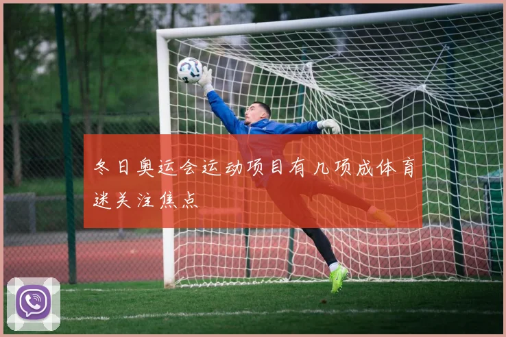 冬日奥运会运动项目有几项成体育迷关注焦点